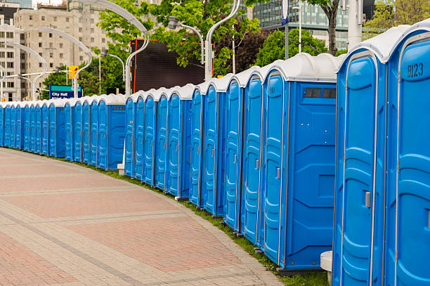 Best Standard Portable Toilet Rental  in Peosta, IA